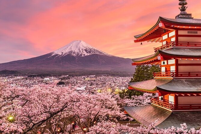 Customizable Private Tour in Mt. Fuji With Private Driver - Inclusions