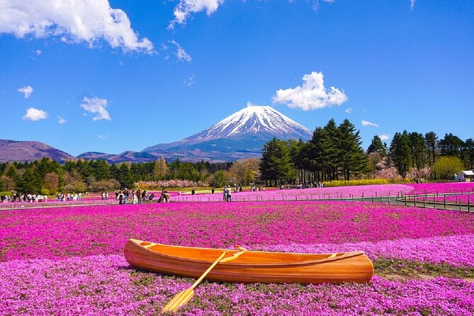 Day Tour at Mt. Fuji, Kawaguchi Lake and Oshino Hakkai in Tokyo - Health and Accessibility Notes