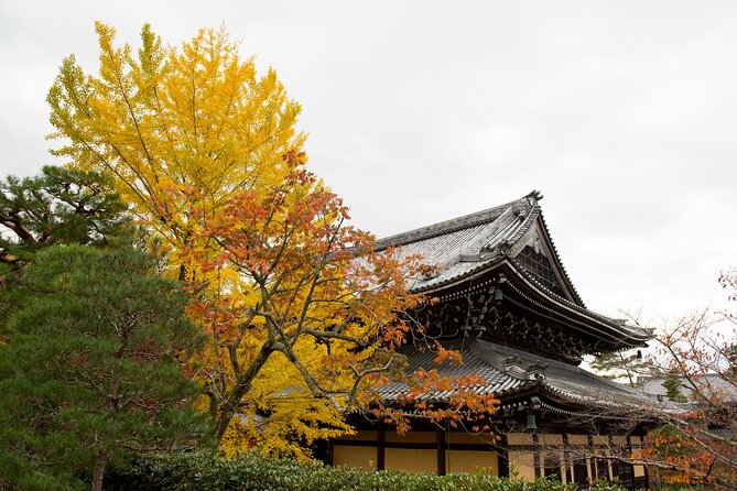 Discover Kyoto by Bike: Authentic Half Day Tour - Meeting and End Points