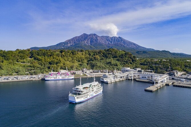 Discover the Wonders of Sakurajima Half Day Tour in Kagoshima - Inclusions and Highlights