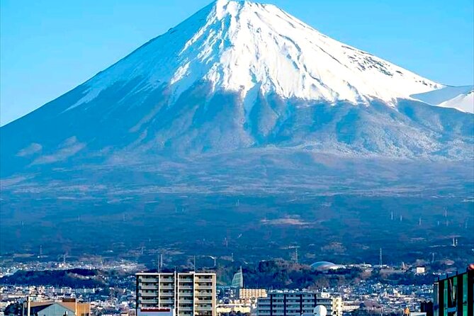 English Guided Mt. Fuji and Lake Kawaguchi Group Tour - Inclusion Details