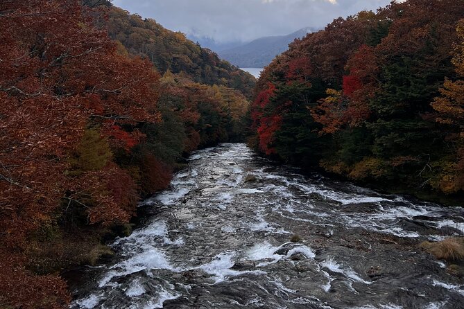 English-Speaking Guided Day Tour of Nikko With a Private Vehicle - Pickup and Meeting Information