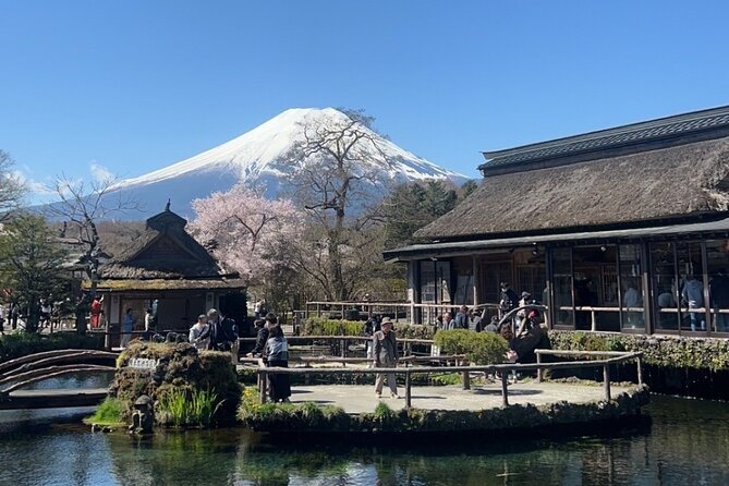 English-speaking Guided Tour:Mount Fuji & Hakone, Private Vehicle - Inclusions