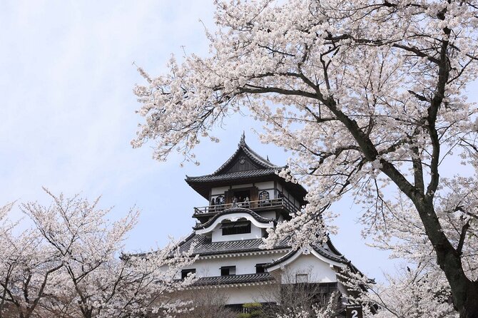 From Nagoya: Samurai Swords and Japan Oldest Castle - Visiting Seki City and the Knife Sharpening Experience
