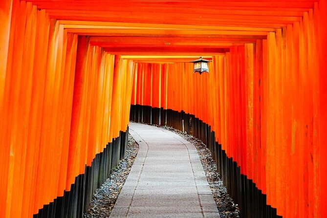 From Osaka/Kyoto: Kyoto & Nara Day Trip With Lunch - Meeting and Pickup Information