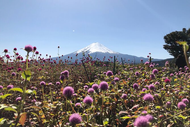 From Tokyo: Mount Fuji, Cruise and Sake Tasting Tour - Inclusions and Logistics
