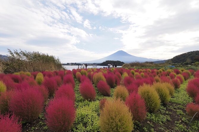 From Tokyo: Mount Fuji Full Day Private Tour With English Guide - Inclusions