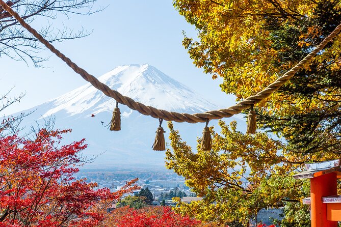 From Tokyo: Mount Fuji Highlights Tour With Kawaguchi Lake Cruise - Pickup Information