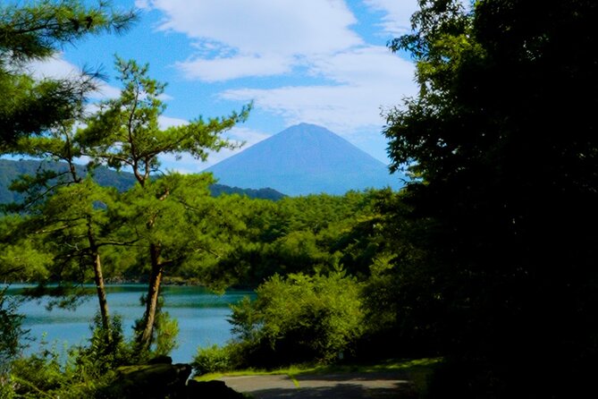 Fuji Photo Tour - Meeting and Pickup