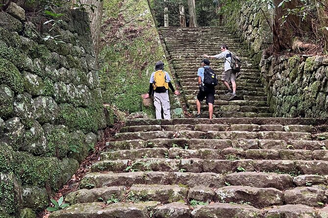 Full Day Hiking Tour to Mt. Horaiji - Inclusions