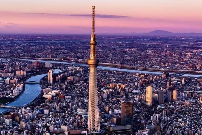 Full Day Tokyo Private City Tour - Inclusions