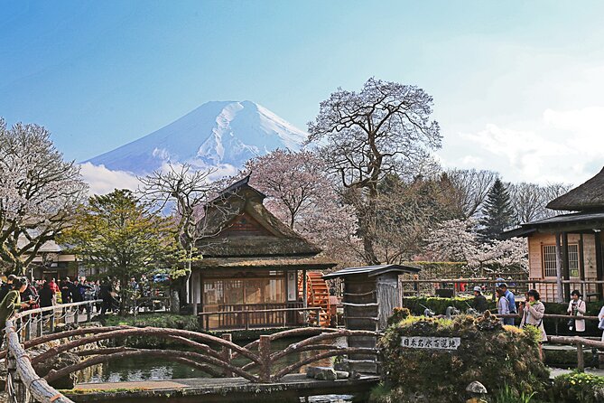 Full Day Tour of Mount Fuji and Hakone From Tokyo - Meeting and Pickup