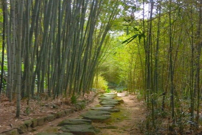 Hidden Bamboo Gem and Japanese Foods in Izakaya Private Tour - Taking in Kyotos Culinary Delights