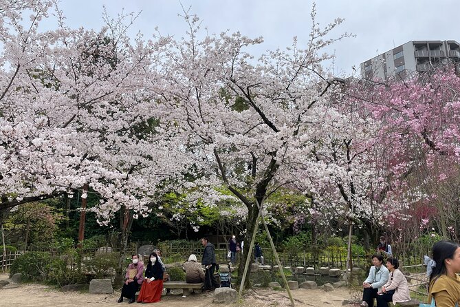 Hiroshima Peace Memorial and Highlights Private Tour With a Local - Accessibility and Participation Guidelines