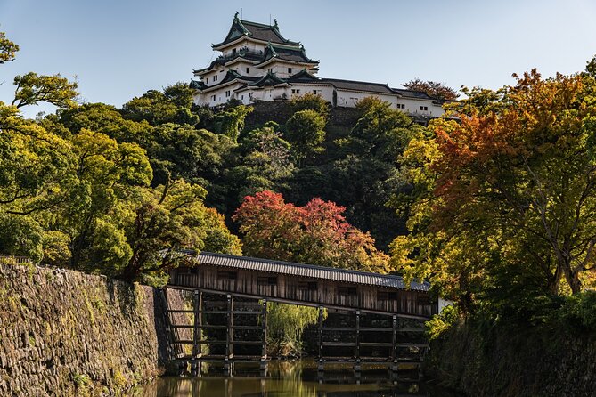 Historic Wakayama City Walking Tour - History of Wakayama City