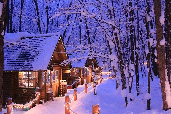 Hokkaido Day Trip From Sapporo: Asahiyama Zoo to Ningle Terrace - Meeting and Pickup Information