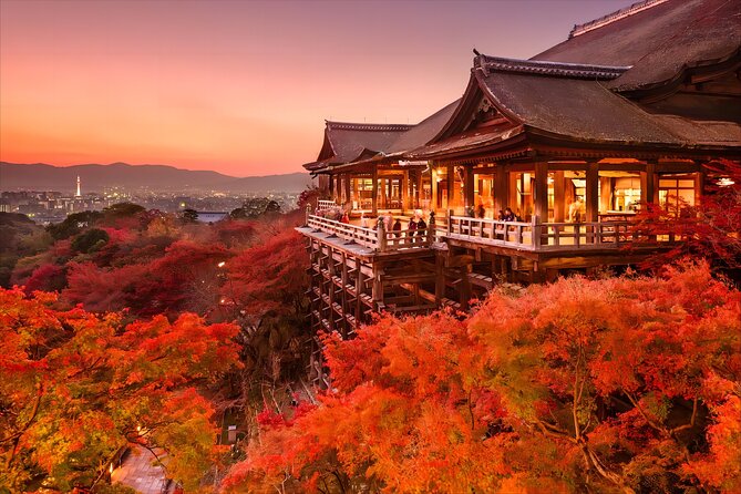 Kyoto and Nara Deer Sightseeing Day Trip From Osaka - Accessibility and Participation
