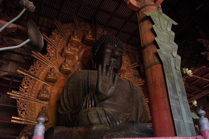 Kyoto and Nara in 1 Day in Fushimi Inari and Deer Park - Meeting and Pickup Details