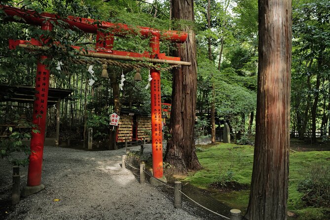 Kyoto Arashiyama Bamboo Forest Hidden Hiking Tour - Tour Requirements