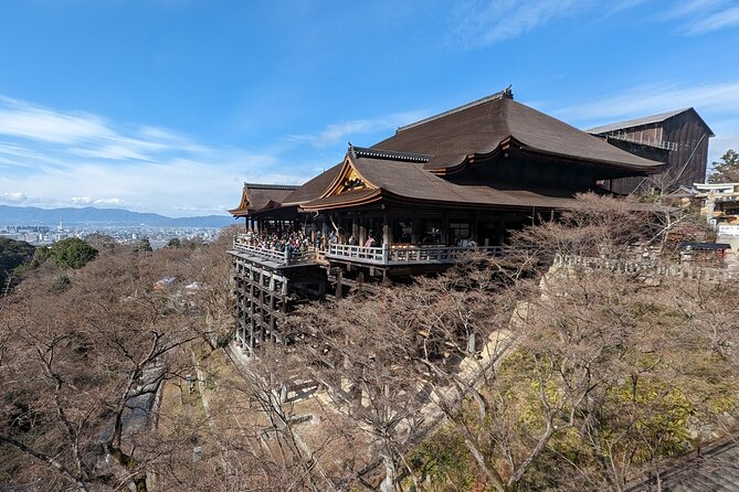 Kyoto Highlights Full Day Private Guided Tour From Tokyo - Experiencing Traditional Japanese Culture