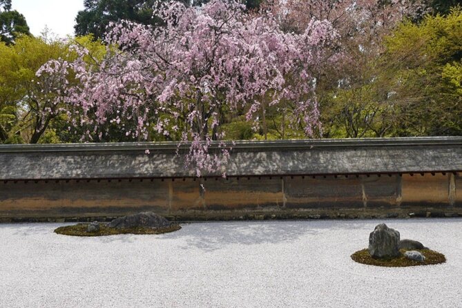 Kyoto ITALIAN GUIDE Golden Pagoda Bamboo Forest Dry Garden - Taking in the Bamboo Forests Serenity