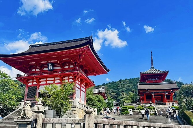 Kyoto: One Day Private Car Tour - Meeting and Pickup