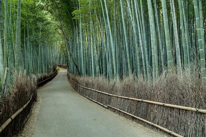 Kyoto Tour by Car From Kyoto Osaka Kobe - Inclusions and Exclusions