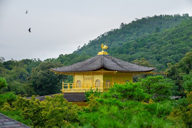 Kyoto & Uji: Full Day Sightseeing Tour From Osaka or Kyoto - Meeting and Pickup