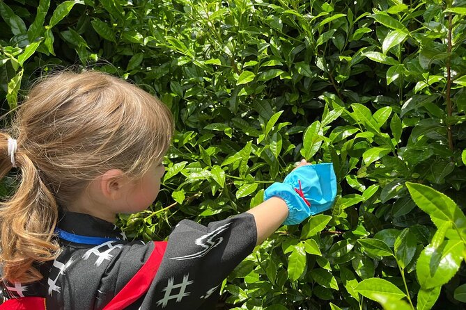 Kyoto Uji Tea Picking and Byodo in Temple Private Tour - Meeting and Pickup Details