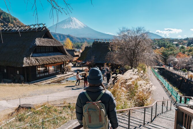 Mount Fuji Customizable Private Tour From Tokyo - Pickup and Meeting Details