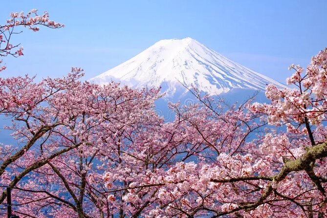 Mount Fuji Full Day Private Tour - Inclusions
