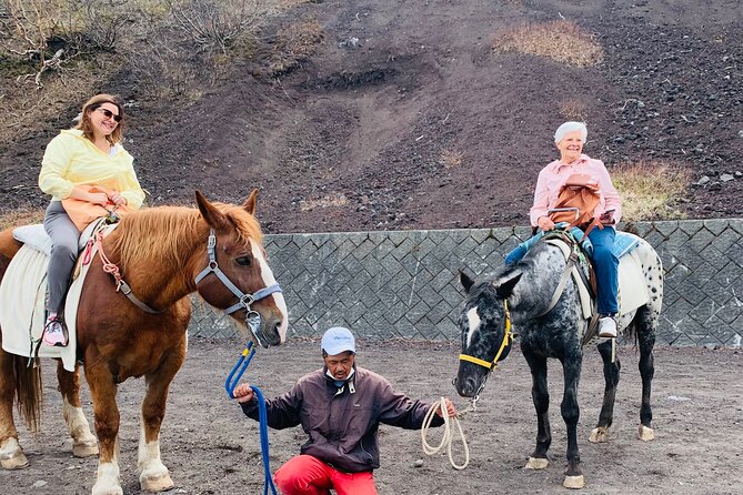 Mount Fuji & Hakone Private Customized Sightseeing English Trip - Pickup and Customization Options