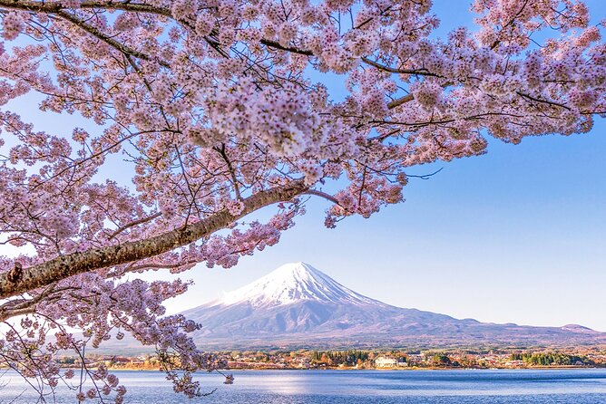Mt. Fuji and Lake Kawaguchi Scenic 1-Day Bus Tour From Tokyo - Inclusions and Exclusions
