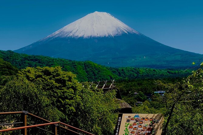 Mt. Fuji Cherry Blossom One Day Private Tour With Pickup - Inclusions and Fees