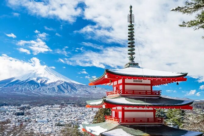Mt Fuji Gotemba Outlet and Hot Springs Tour From Tokyo - Inclusions and Accessibility