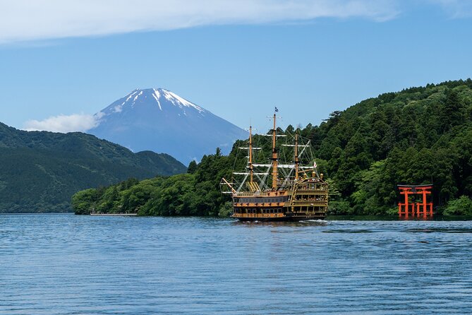 Mt. Fuji or Hakone Private Sightseeing Day Trip From Tokyo - Tour Experience and Expectations