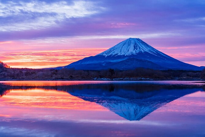 Mt. Fuji Private Car Tour From Tokyo - Included Services