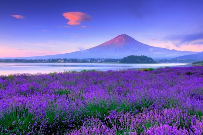 Mt. Fuji Tour in Lake Kawaguchi and Oshino Hakkai - Tour Exclusions