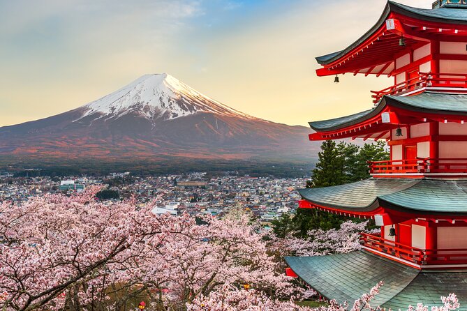 Mt Fuji Tour With Private English Speaking Driver From Tokyo - Tour Details