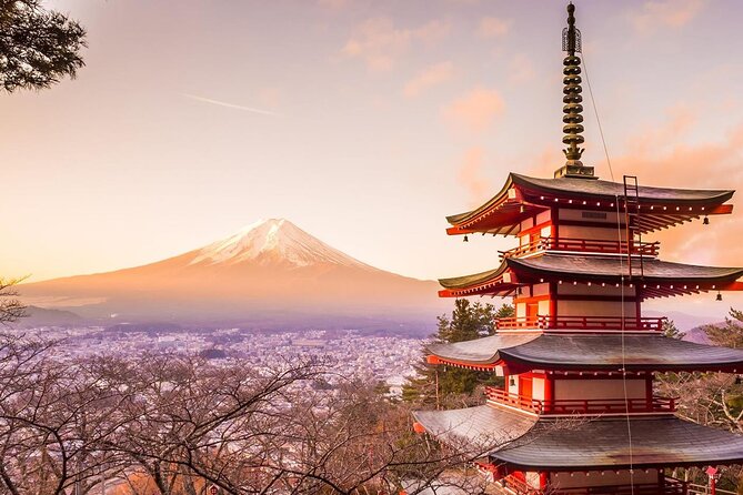 Mt. Fuji Tours With Kawaguchi Lake Ropeway View English Speaking - Meeting and Pickup Information