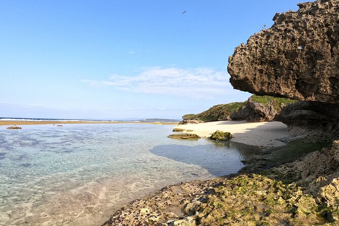Okinawas Gorgeous Beach & Snorkel Tour: Private & Customised - Pickup Information