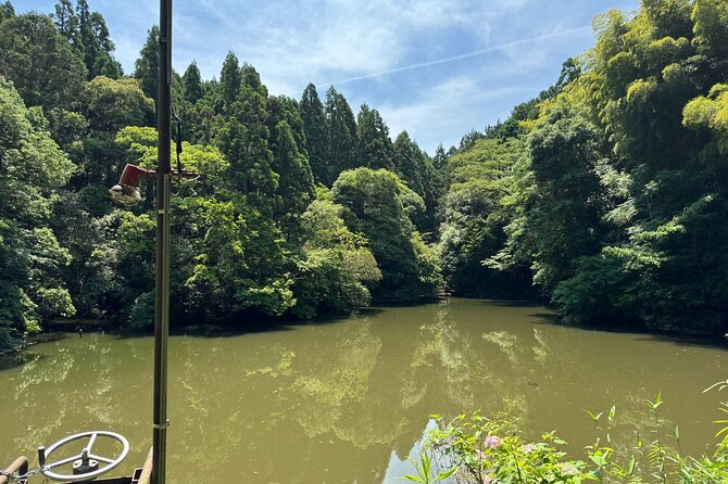 One Day Private Tour in Kyoto and Nara From Osaka - Inclusions