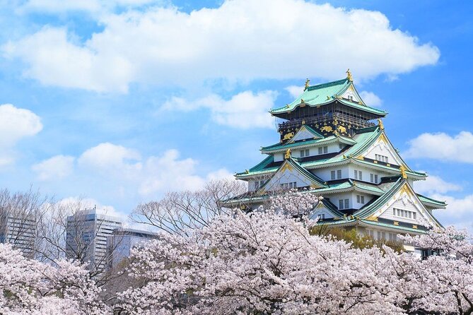 Osaka and Nara Cherry Blossom One Day Private Tour - Inclusions and Fees