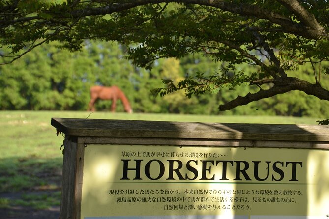Pasture Hike With Horse Whisperer at Horse Trust in Kagoshima - Accessibility and Participation