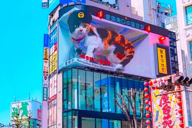 Private 1-Day Tokyo City Tour With English Speaking Driver - Inclusions