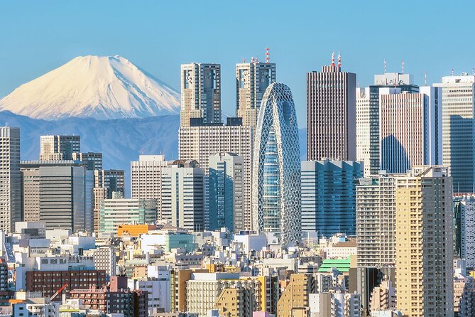 Private Audio Guided Walking Tour in Tokyo - Customization and Accessibility