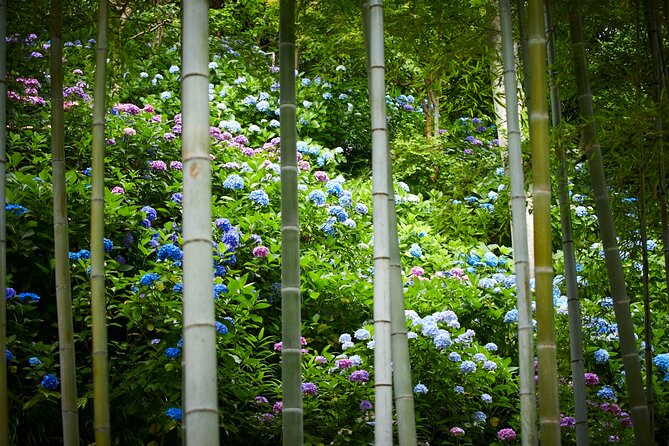 Private Car Tour to See Highlights of Kamakura, Enoshima, Yokohama From Tokyo - Accessibility and Special Requirements