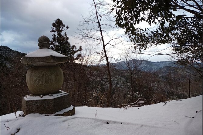 Private Guided Half-Day Walking Tour in Yoshinoyama - Transportation and Accessibility