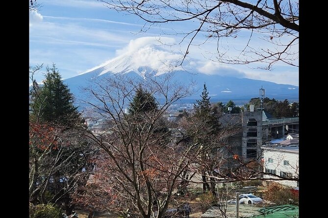 Private Hakone Mt Fuji Tour With English Speaking Driver - Inclusions