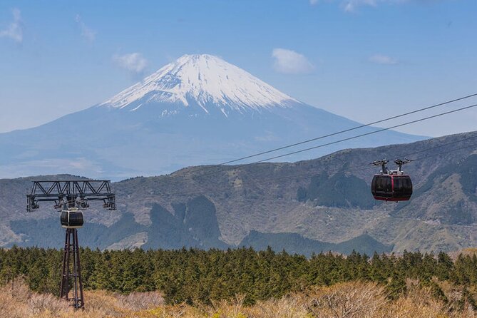 Private Hakone Tour With a Luxury Van - Pickup Information